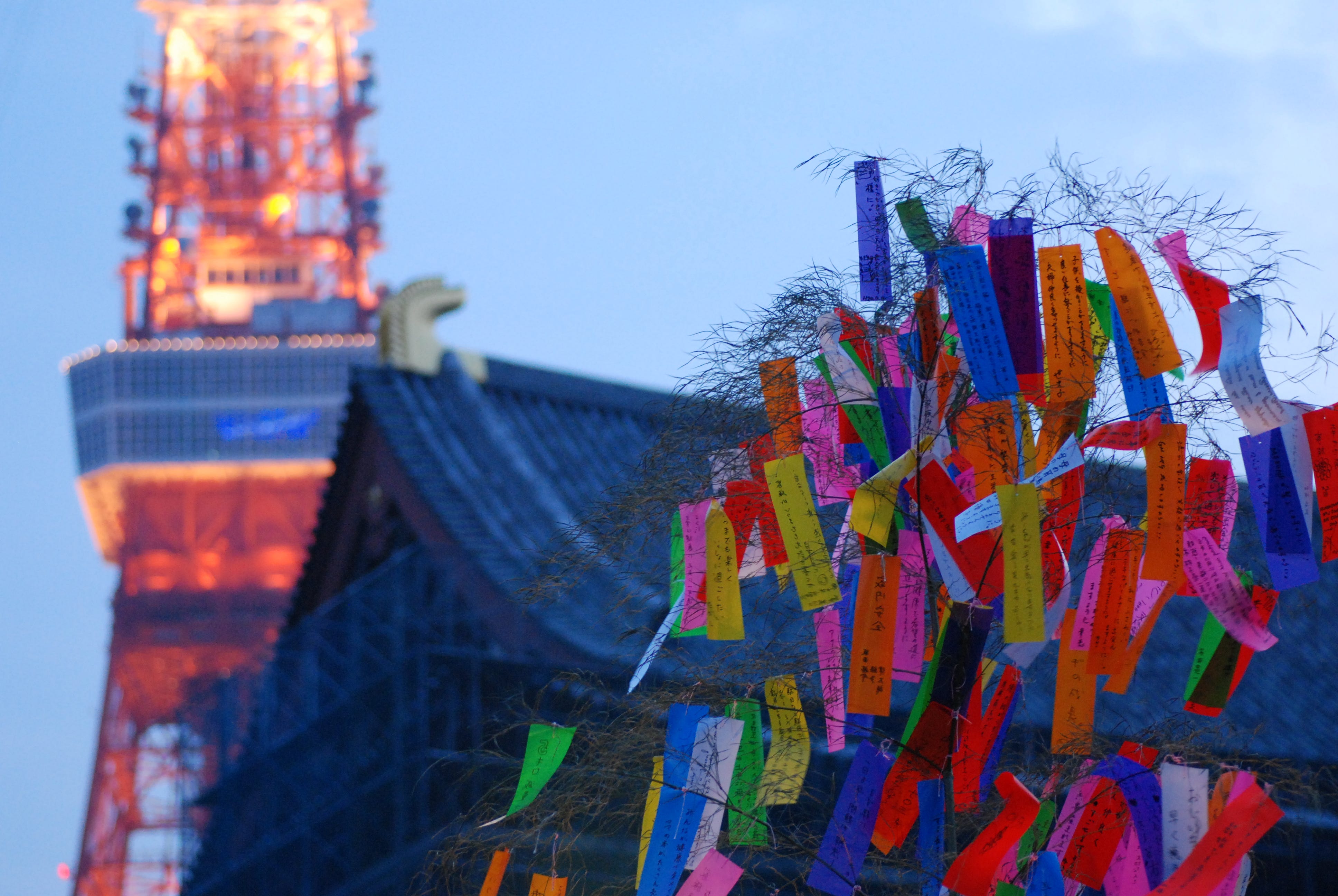 増上寺七夕祭 By Minatsu Tsunami So Medium 増上寺七夕祭 By Minatsu Tsunami So Medium