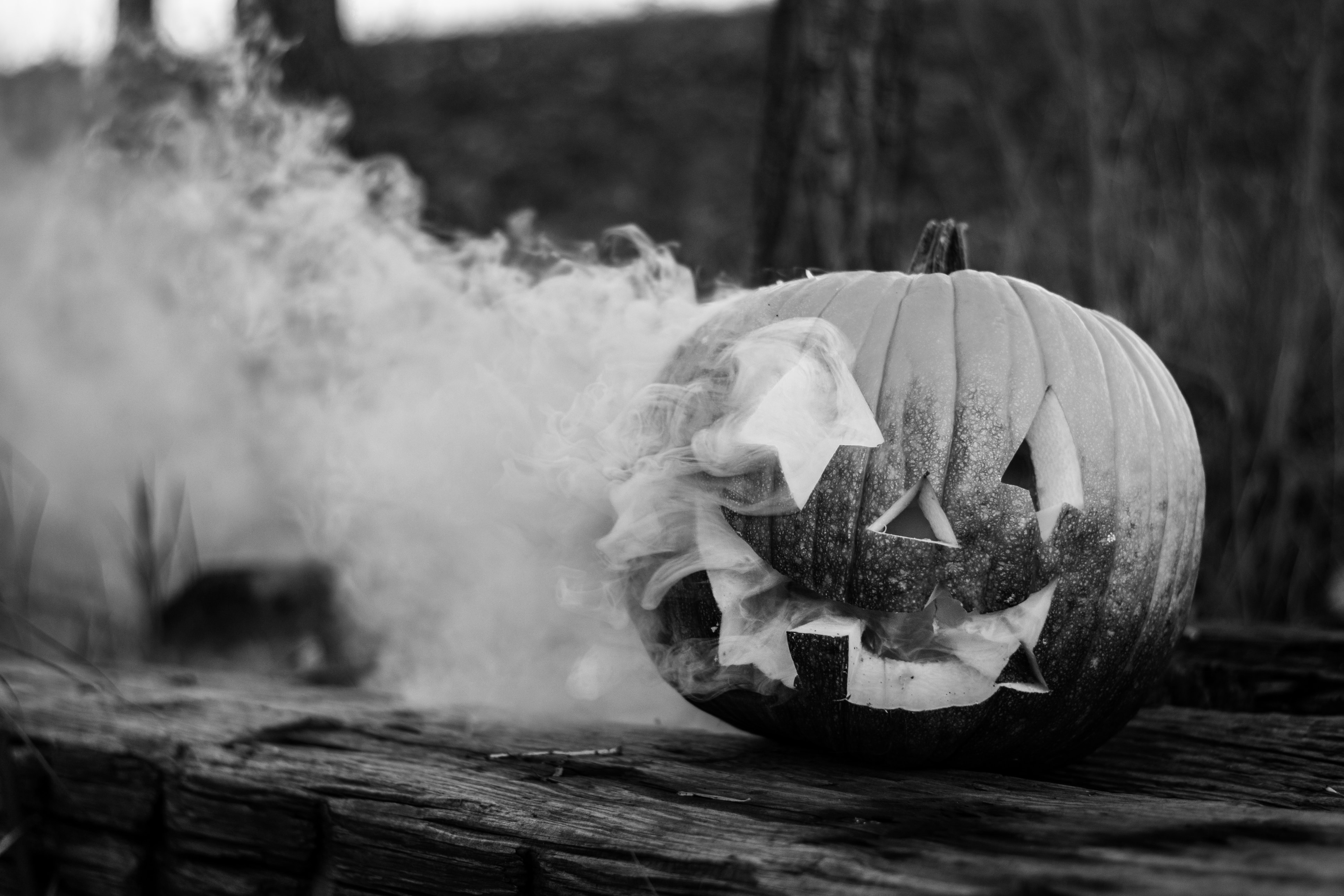 14 Songs for Halloween - Idle Thoughts - Medium