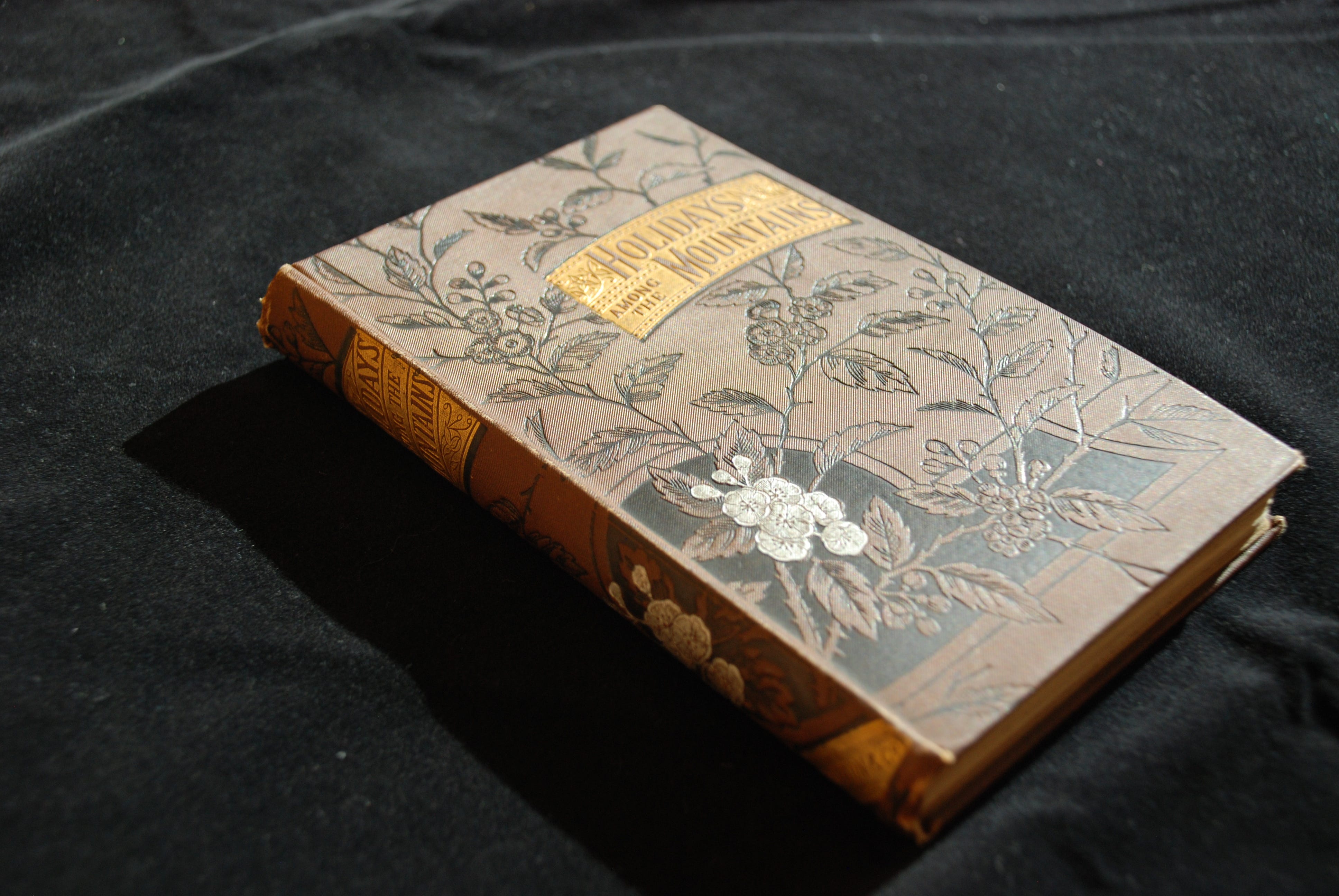 beautiful books