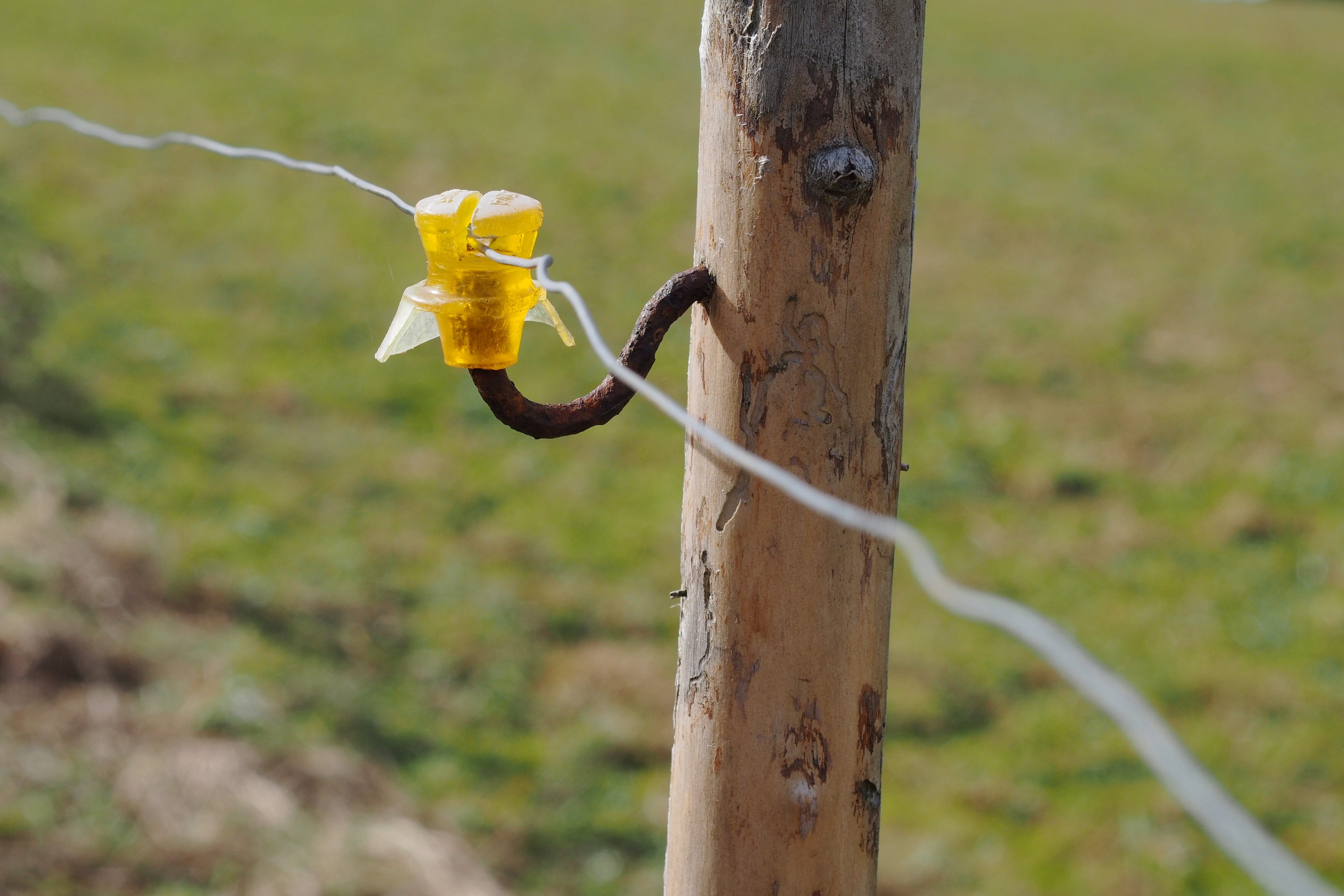 Electric Fence Who Let The Heap Corruption Out By David Petty Independent Security Evaluators