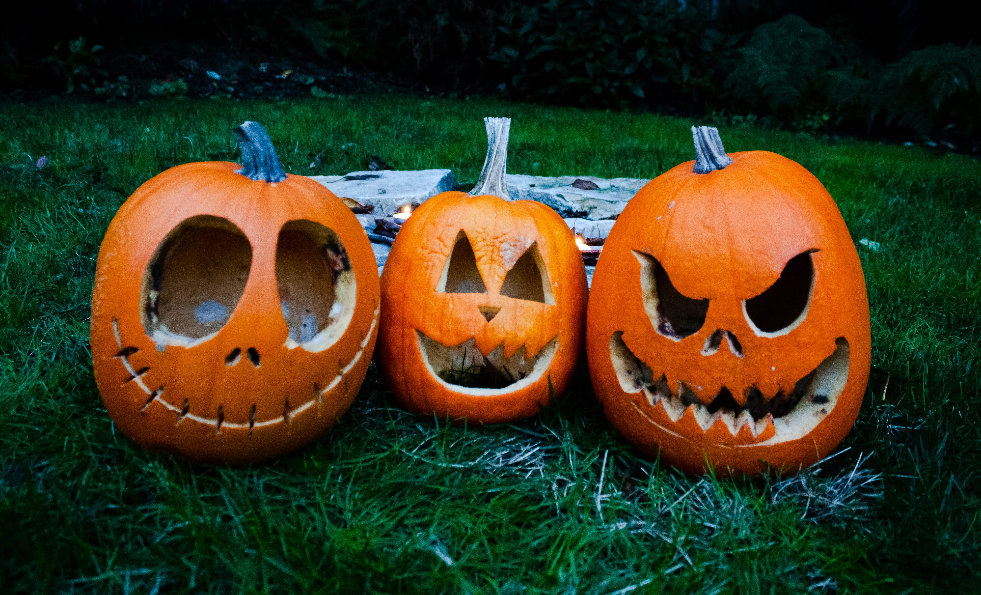 Halloween The Day in October When We All Pumpkins are Food by