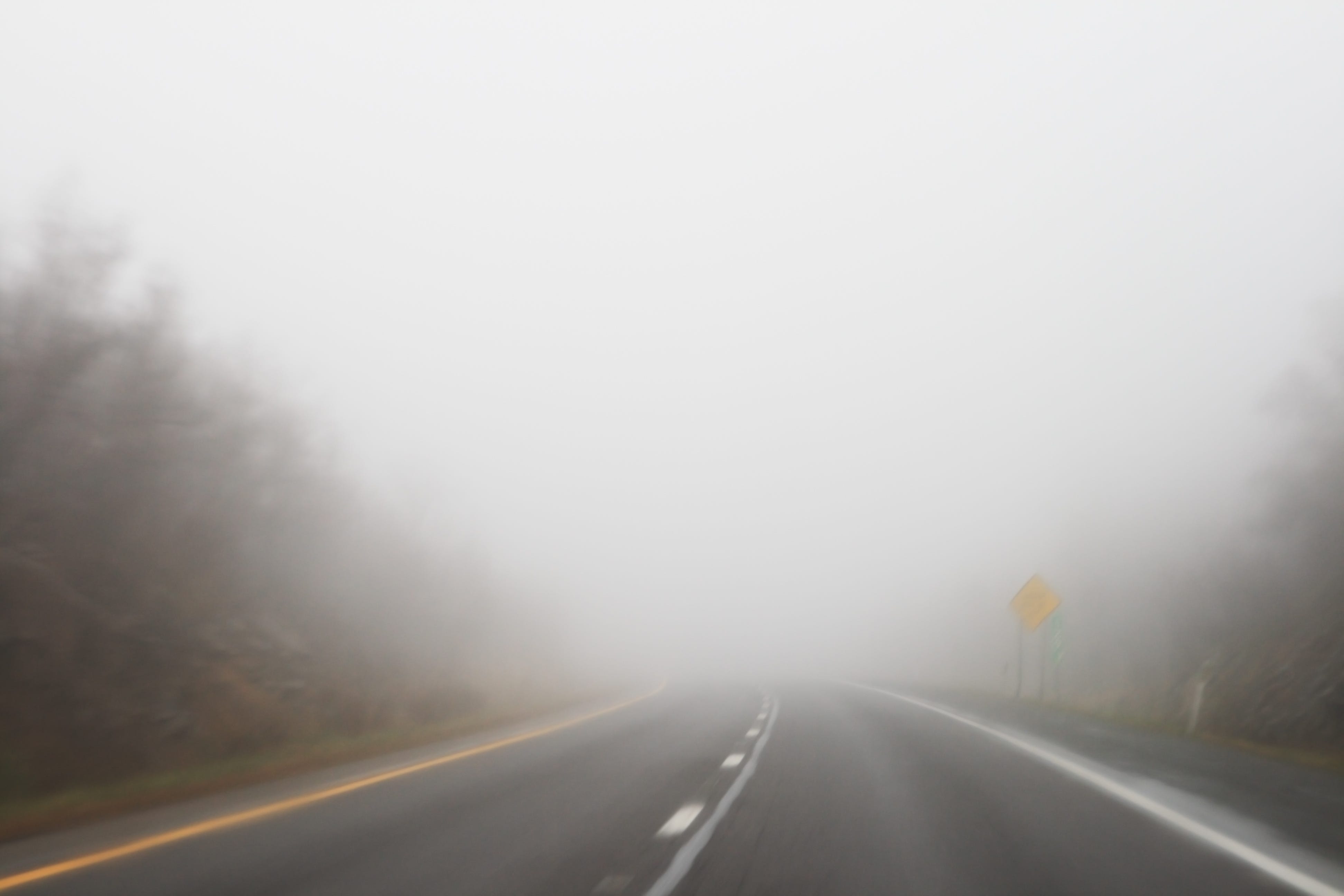 What should you do when driving in fog? The hiyacar blog