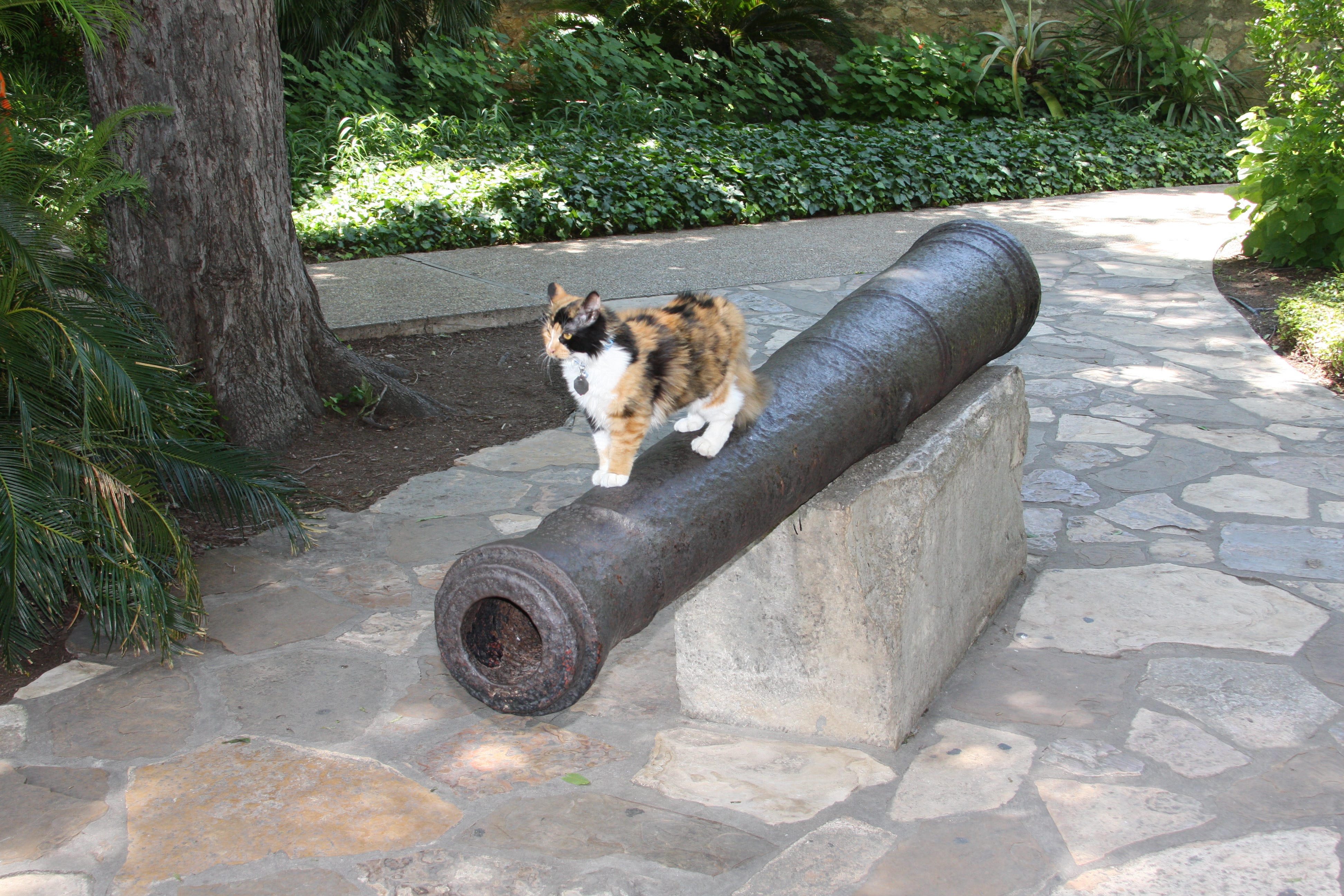 bella cat tree