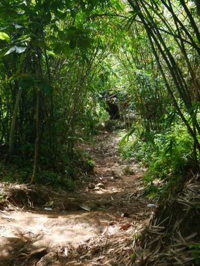 Weekend Backpackeran Naik Gunung Munara By Lydia Heng Medium