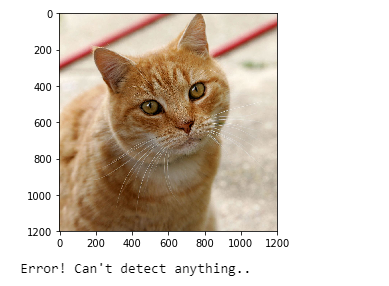 Identifying Dog Breeds using Deep Learning | by Moumita Mukherjee | Medium