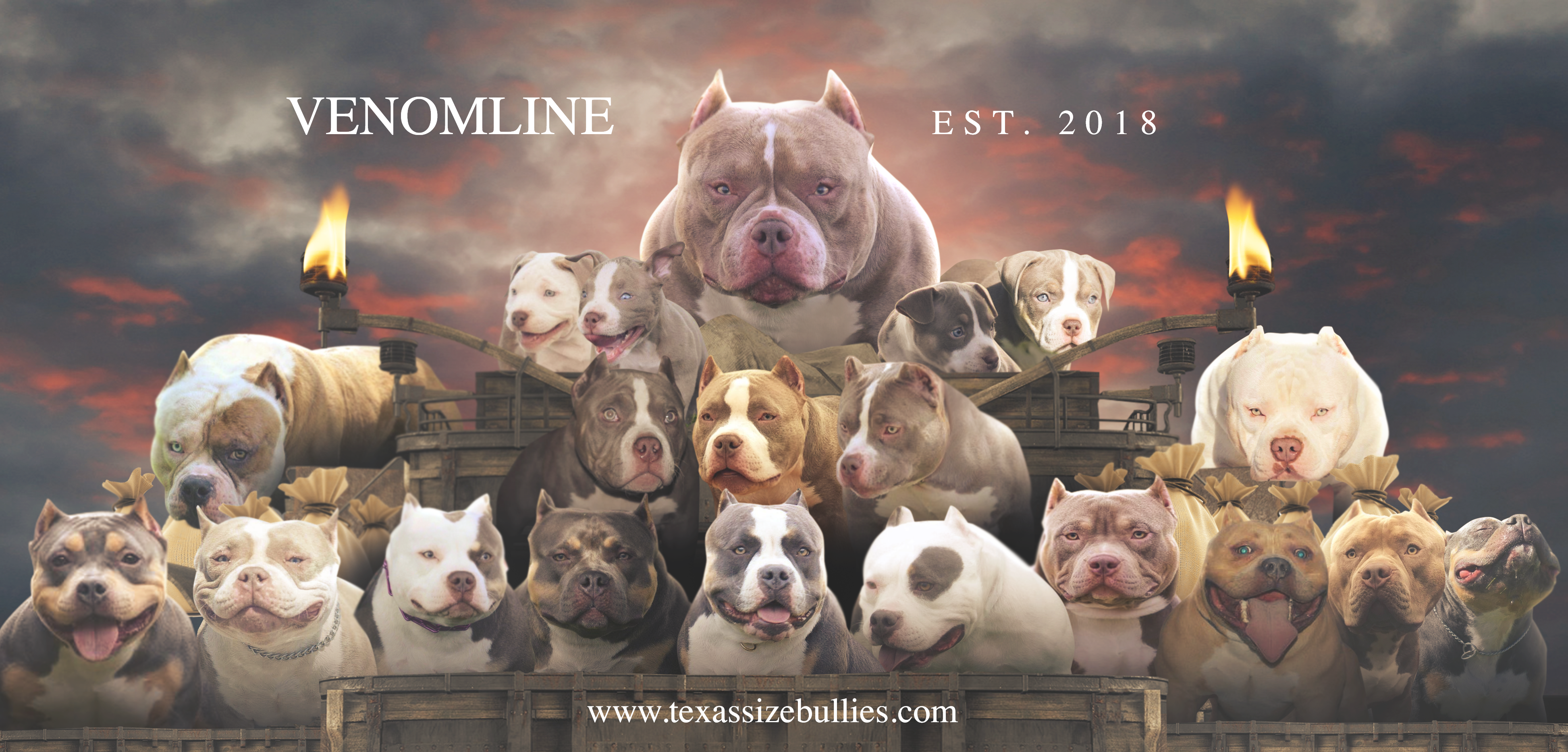 texas size bullies