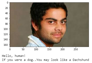 Identifying Dog Breeds using Deep Learning | by Moumita Mukherjee | Medium