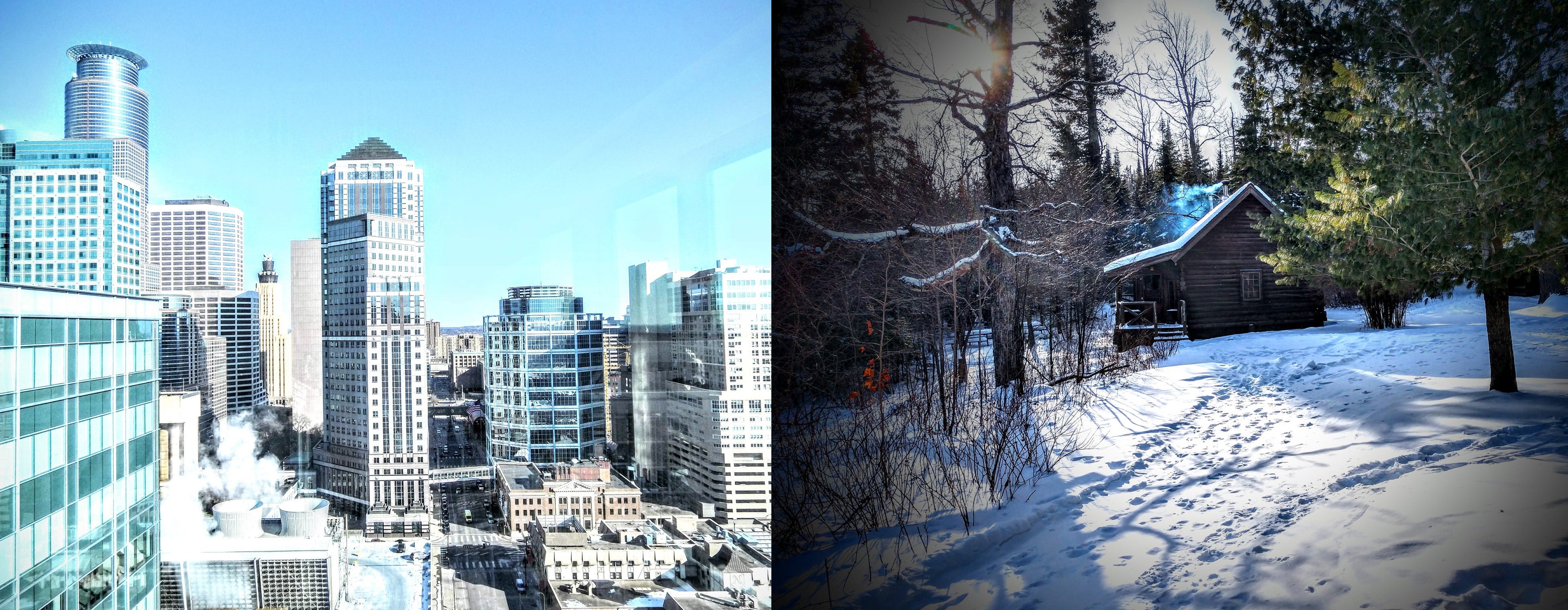 Frozen Polar Opposites Attract Lit Up Medium