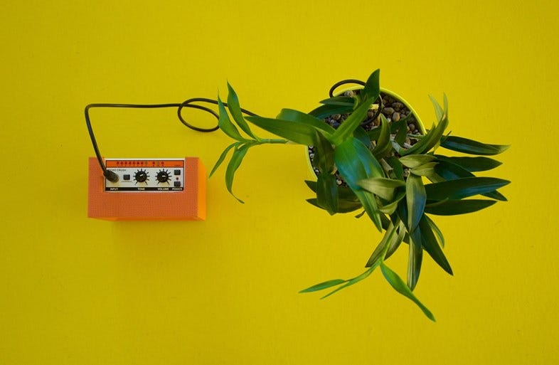 Plants making music…what’s that all about? | by Pavle Marinkovic