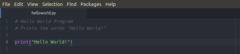 Ch 1 — Intro to Python: Writing Your First Program | by Gabriela ...