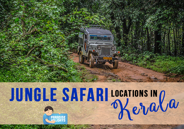 safari for sale in kerala