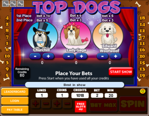 Casino Casino