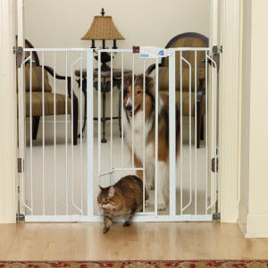 Save Up To 75 Shop For Your Cat At Petsmart