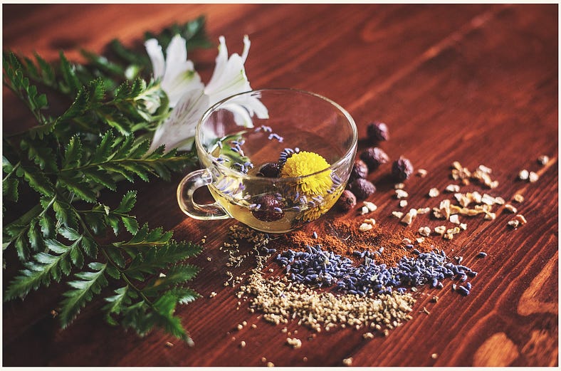 Traditional Medicines: Leaves, herbs and seeds and Spice Tea in a glass cup.