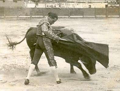 The Ruthless Soliloquy Bullfighting In Contemporary Society By Edd Norval Medium The Ruthless Soliloquy Bullfighting In Contemporary Society By Edd Norval Medium