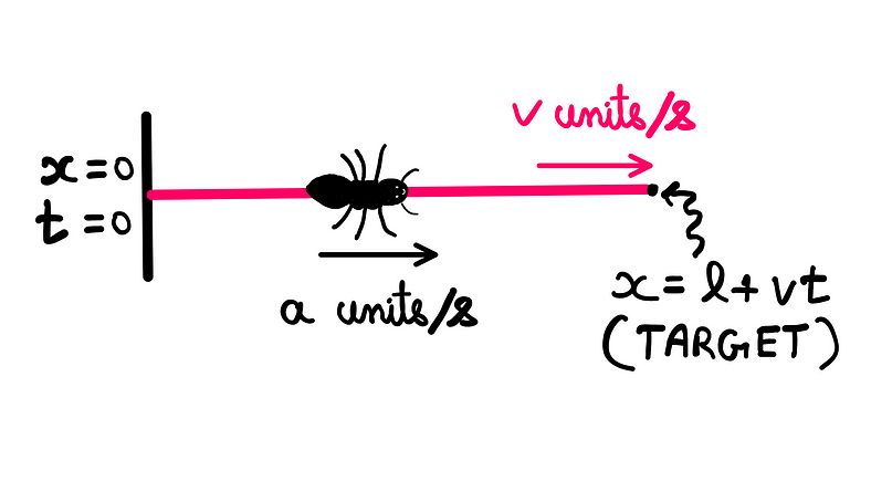 Ant On A Rubber Rope Paradox — How To Solve It? — An illustration showing a black ant crawling on a pink rope. The ant is crawling at the rate of a units/s, while the rope is stretching at the rate of v units/s. The end of the rope (the ant’s target) is at x = (l + v*t).