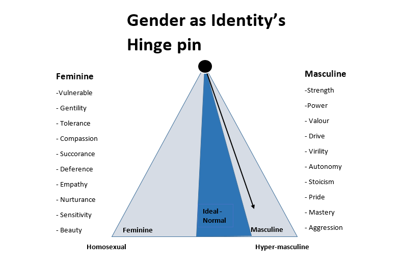 hegemonic-masculinity-identity-and-the-global-crisis-of-our-humanity