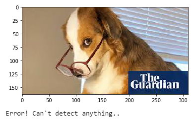 Identifying Dog Breeds using Deep Learning | by Moumita Mukherjee | Medium