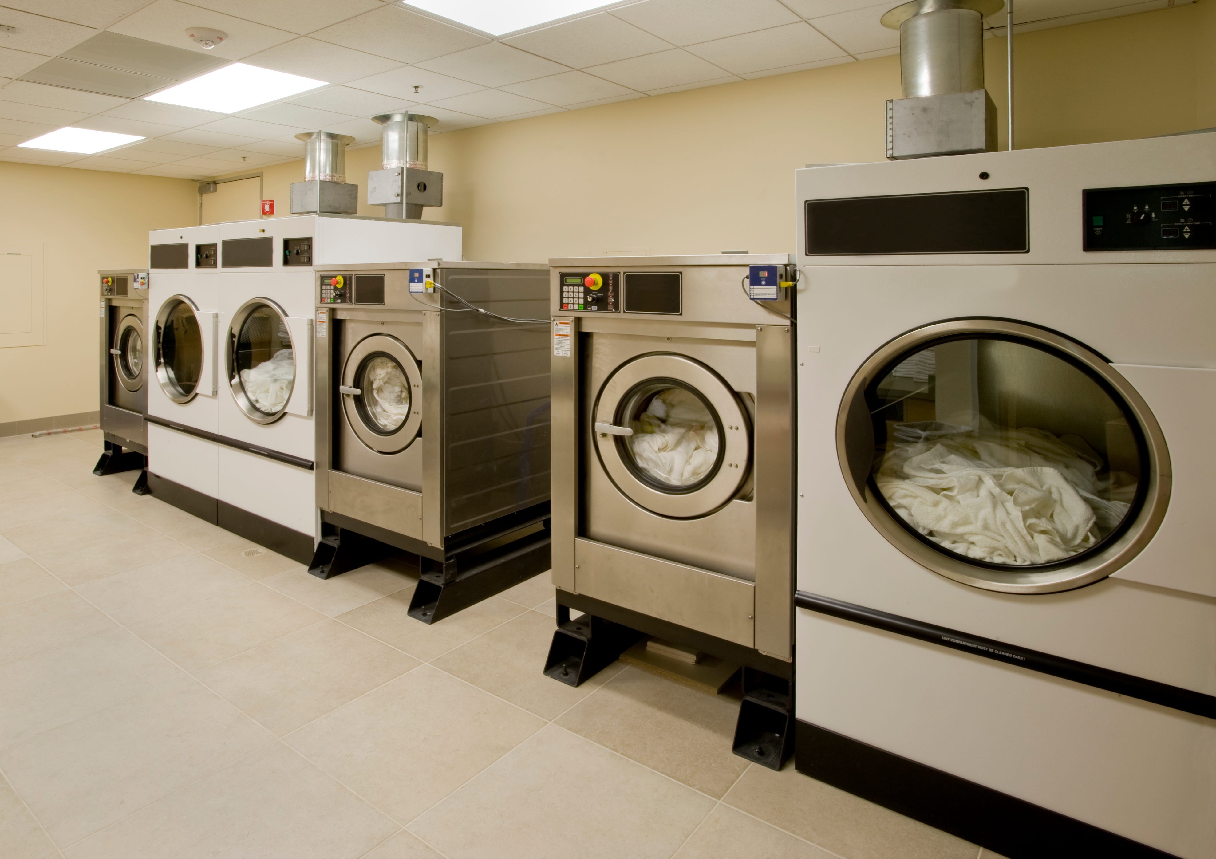 chinese laundry wonder