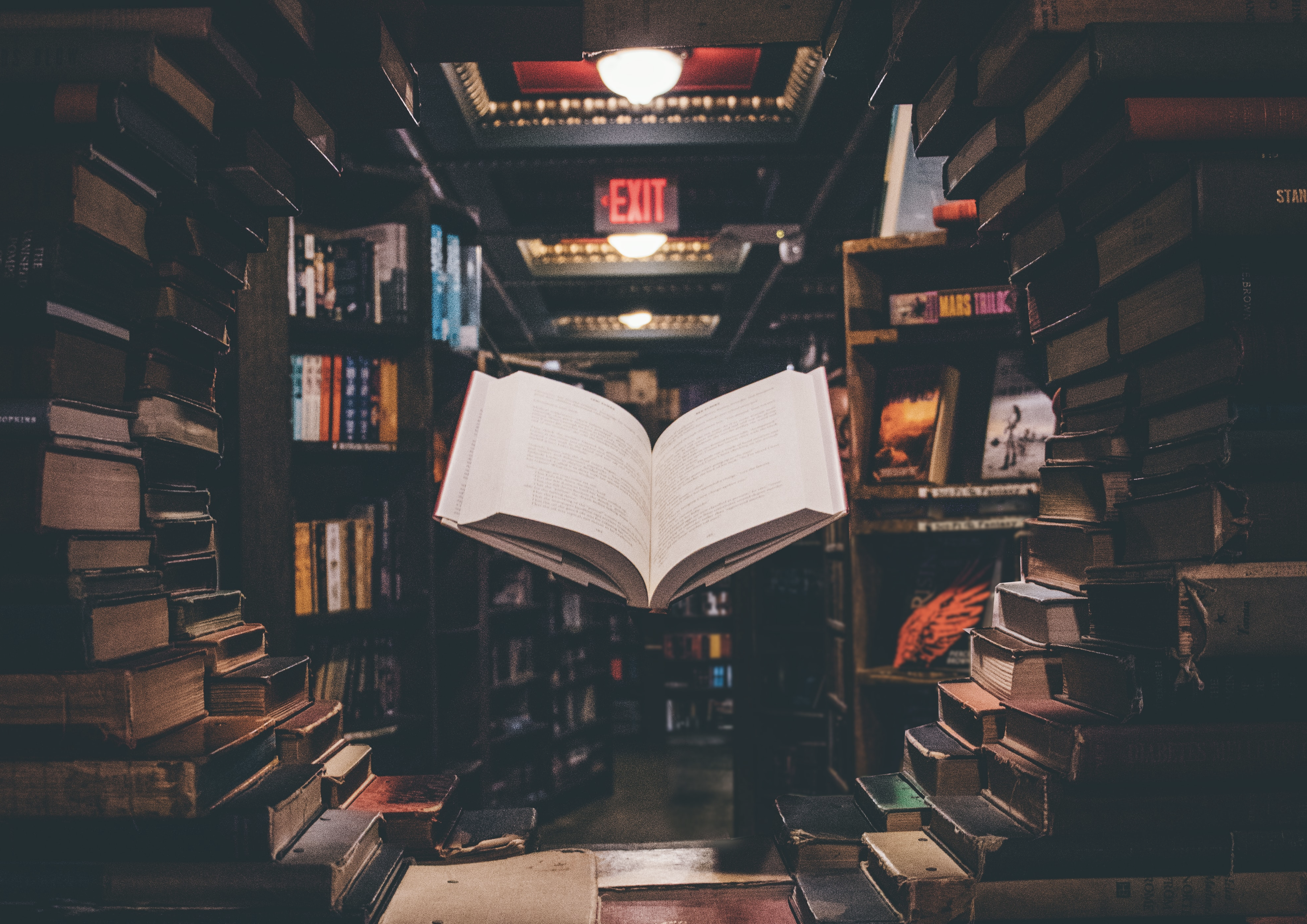 Few Things I Realized After Reading Books By Varun Raj Medium