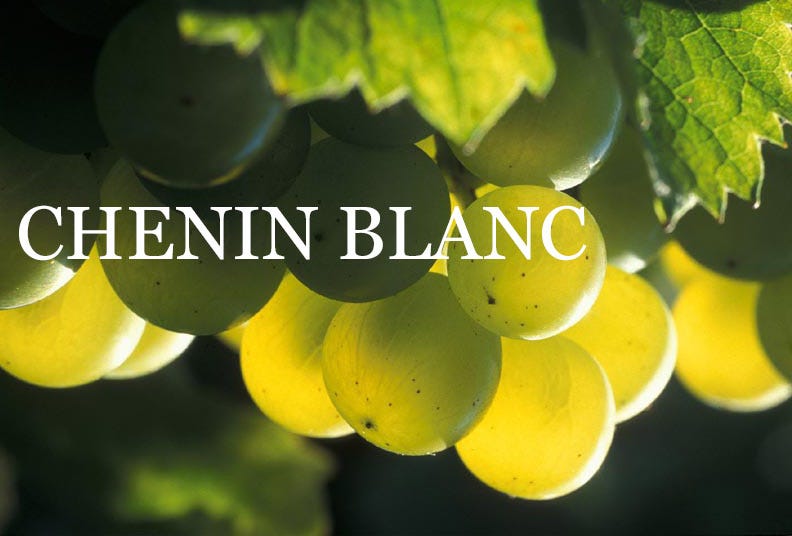 Chenin Blanc Gem Of Loire Valley France Teck Huat