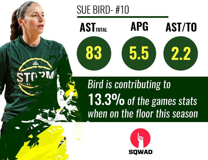 Sue Bird The Vet Keeps Passing Nick Lawson Medium