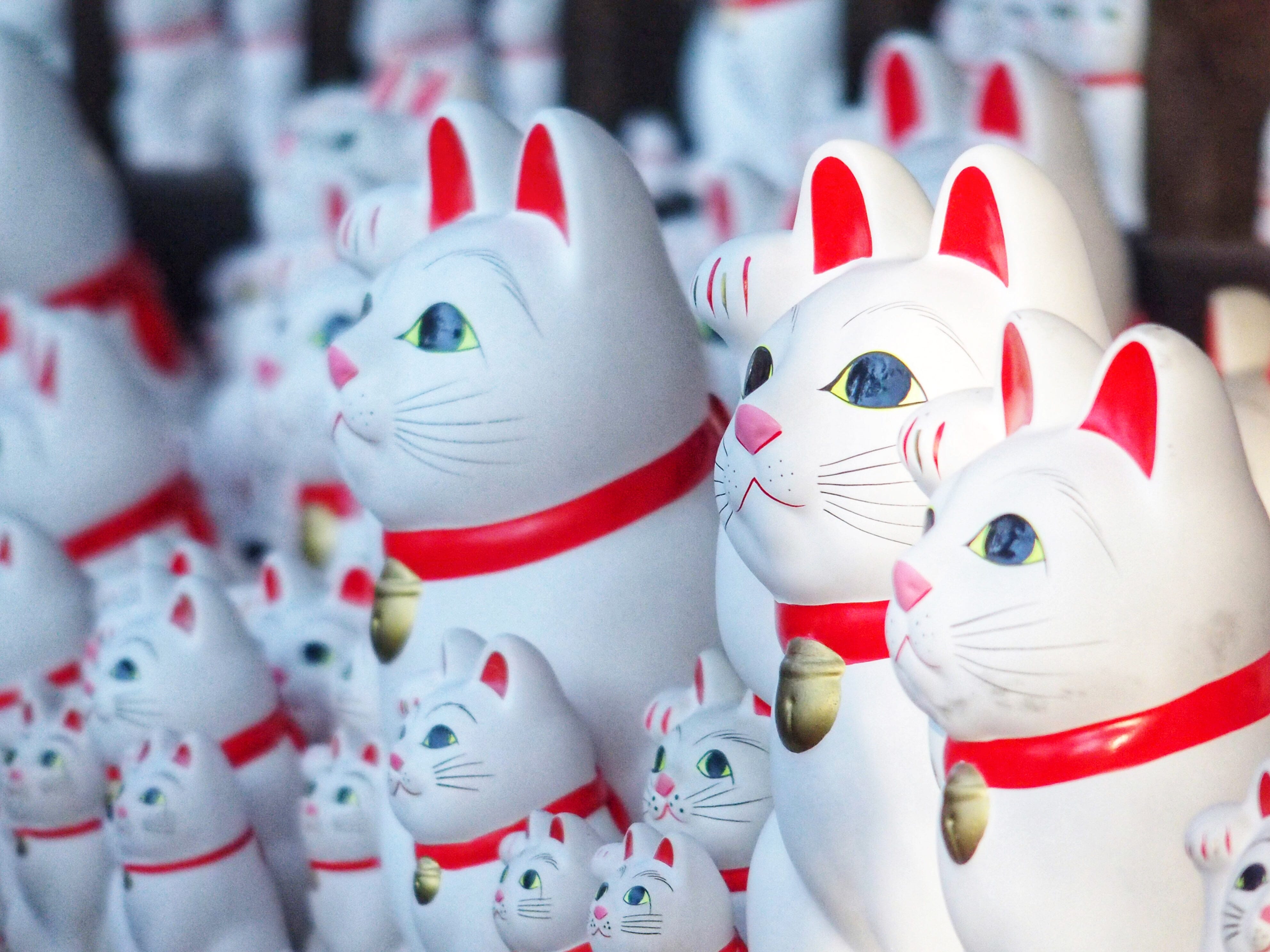 良いご縁に恵まれますように 豪徳寺 から招き猫さんをお迎えしました By Aya Satoh Hoshina ほしなあや いろどり Medium