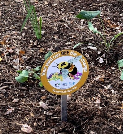 A sign is posted amid newly planted plants black soil with a bit of leaf litter