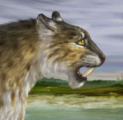 Who Cares About The Last Pogonodon? by Joelle Marlin Jun, 2022 Medium