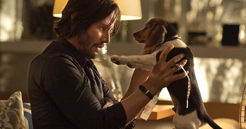John Wick, Puppy Activist. Just as a fair warning, spoilers ahead… | by  Michael Chen | Medium