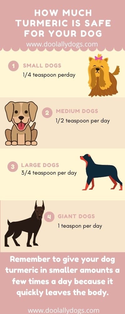Turmeric For Dogs 10 Health Benefits You Should Know About By Andrew Toft Medium