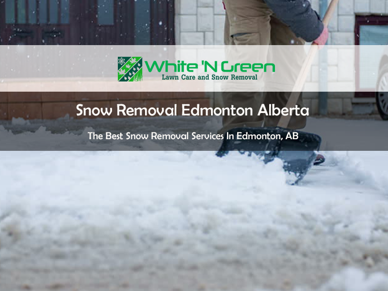 5 Tips for Lawn Care and Snow Removal by White N Green Medium