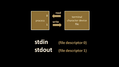 How Linux terminal works | SecurityThread
