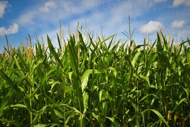 how to use microsoft excel for farming how to use microsoft excel for farming