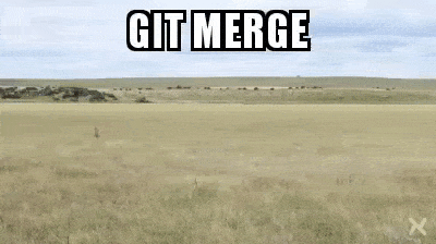 Image for post