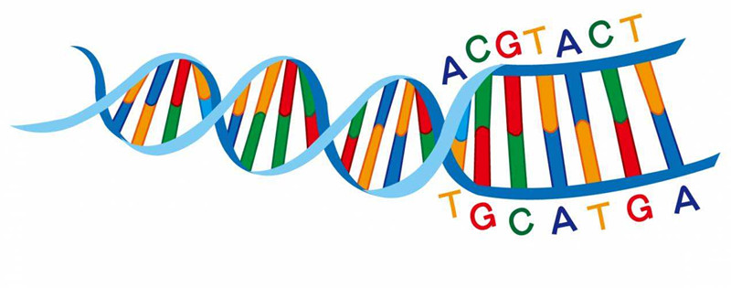 How Much Do You Know about DNA Sequencing? - Ivan Chen - Medium