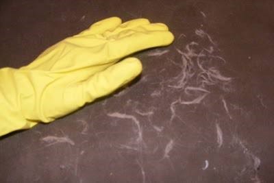 How To Get Cat Hair Off Blankets Simple Tips For You By Largereviews Com Medium