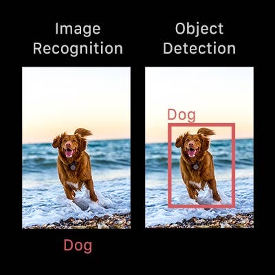 Object Detection Using OpenCV. What is object detection? | by RIDDHI ...