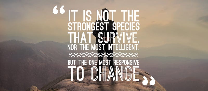 Get The Top 5 Quotes For Kickstarting A Business By Barbara Mckinney For Free Wallpaper The Top 5 Quotes For Kickstarting A Business By Barbara Mckinney Desktop Wallpaper Free