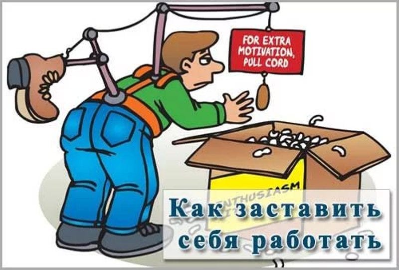 Где Работа Картинки