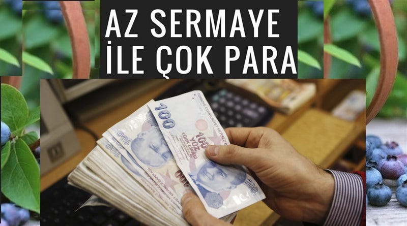 Az Sermaye İle Yapılabilecek İş Fikirleri | by volkan yıldız | Medium