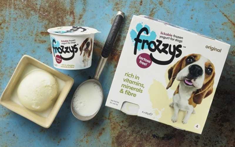 frozzys frozen yogurt