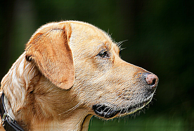 Kernel convolution, for image processing | by Edwin Márquez | Medium