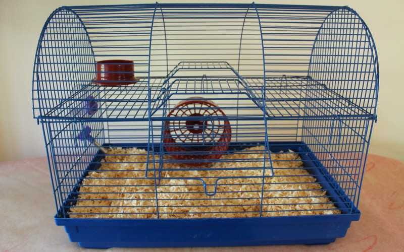 Ferplast Hamster Cage. We all love our pets. We want to make… | by Amy  Trumpeter | Medium