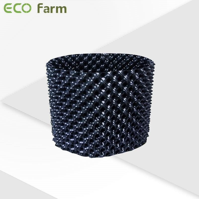 Can you grow cannabis in 1 gallon pot? 2020 Guide by GrowLights Medium