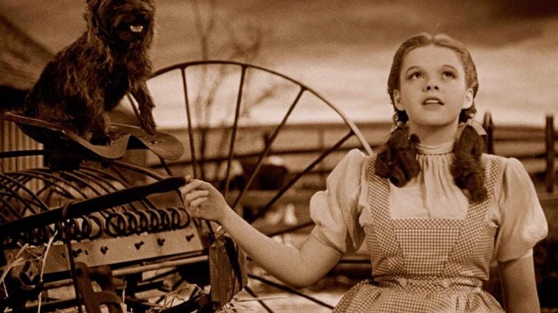 Character Archetypes The Wizard Of Oz By Scott Myers Go Into The Story Character Archetypes The Wizard Of Oz By Scott Myers Go Into The Story