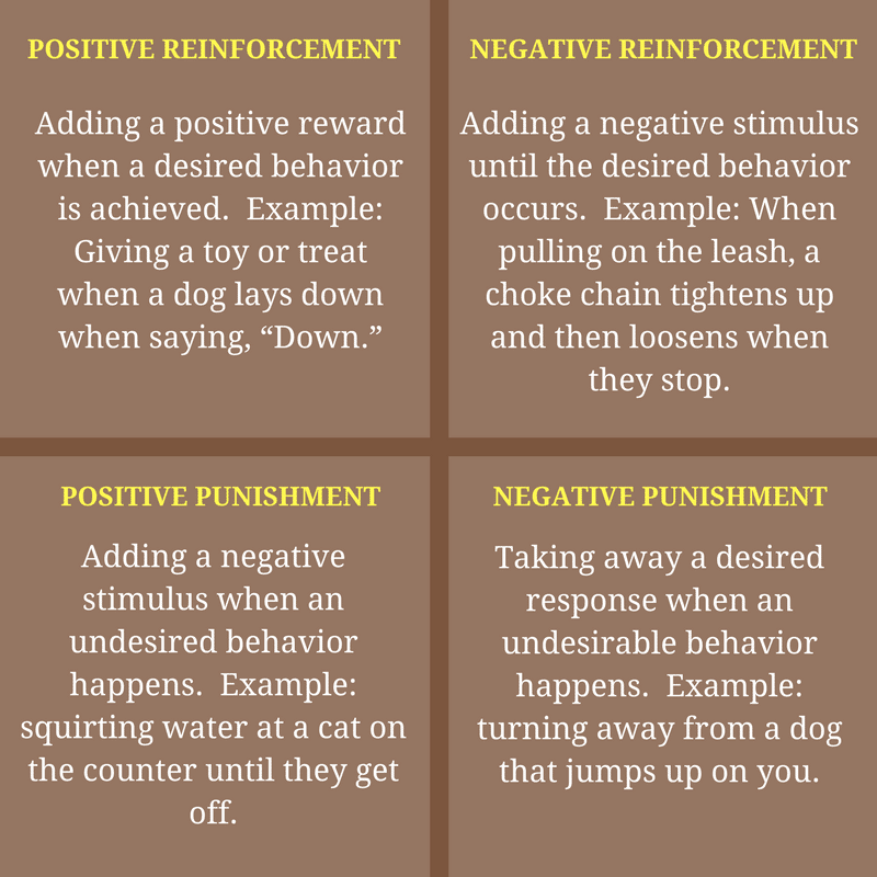 how is negative reinforcement different from punishment in dogs