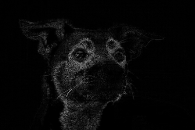 Kernel convolution, for image processing | by Edwin Márquez | Medium