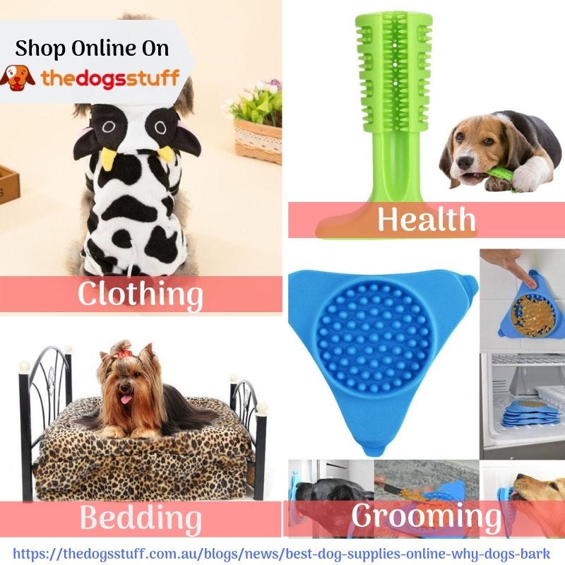 online dog supplies