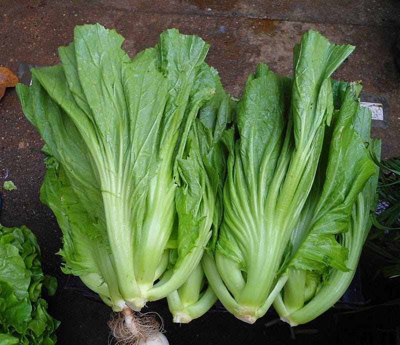 芥菜 小時過年 除了比平常拜拜時才得以一見的大魚大肉更豐富的年菜之外 桌上總會有一盤芥 By 葉綠舒